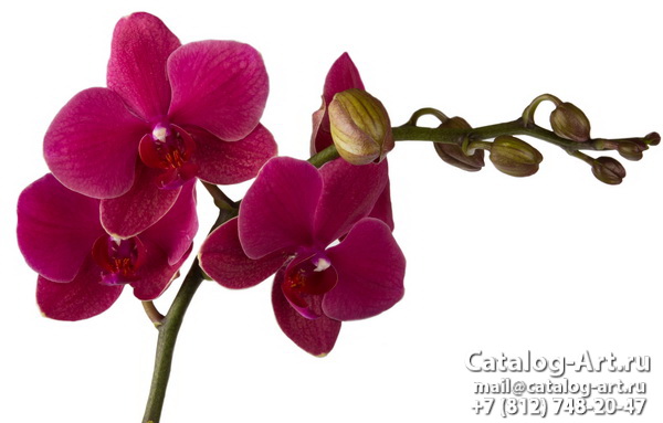 Натяжные потолки с фотопечатью - Розовые орхидеи 80